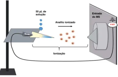 Figura 2. Representação esquemática da técnica PS-MS (Adaptado de Paula et al., 2015)