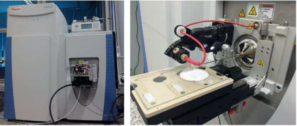 Figura 5. Vista frontal e lateral da fonte DESI imaging acoplada ao espectrômetro de massas  utilizados neste trabalho