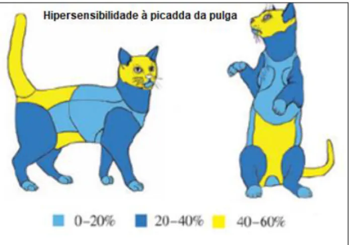 Figura 6 – Proporção da distribuição das lesões em gatos  com HPP. [Adaptado de Hobi et al