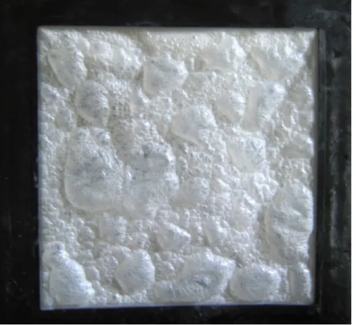 Figure 2.15 – View of a blistered membrane. 