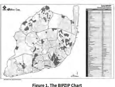 Figure 1. The BIPZIP Chart 
