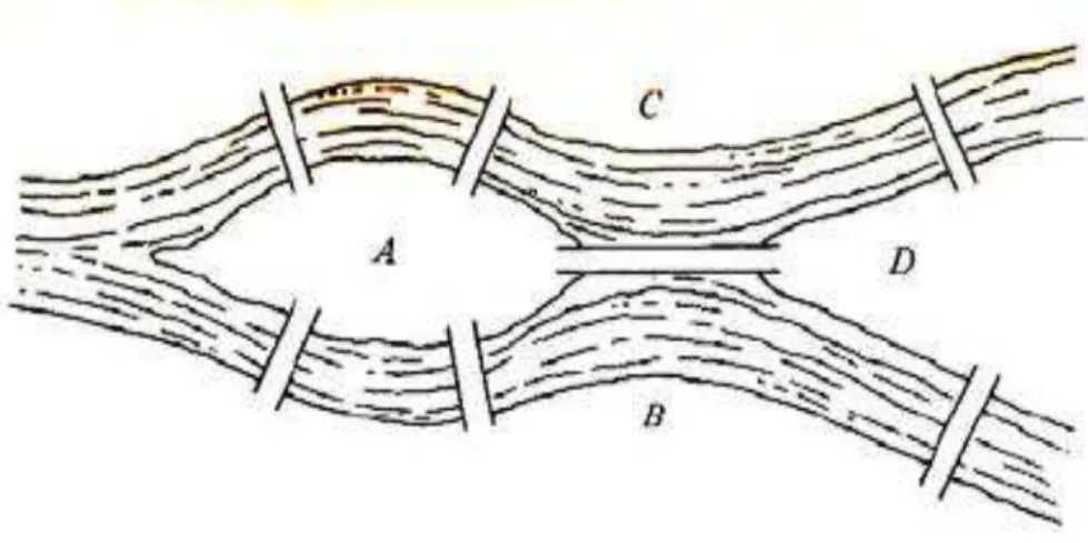 Figura 7  – Esquema da cidade de Königsberg 