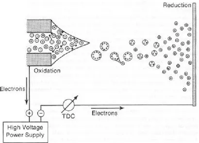 Figura  1.2:  Representação do  processo  de  ionização por  electrospray  e  formação  do  cone  de  Taylor [22]