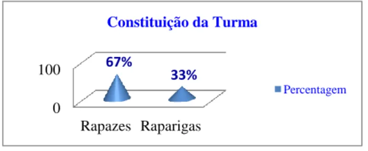 Gráfico 1 – Constituição da turma 