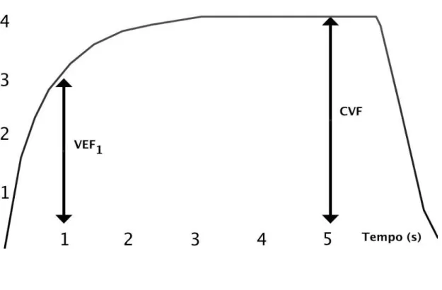 FIGURA 1.2: Volumes em gráfico de volume X tempo de uma espirometria.  