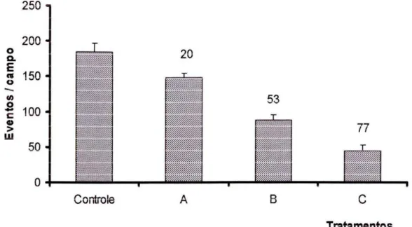 Figura  11:  Número  de  eventos  de  adesão  de  propágulos  de  P.  brasiliensis  à  monocamada  de  células  CCL-6  por  50  campos  microscópicos  aleatórios