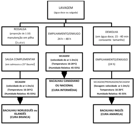 Figura 1.9 - Processos de obtenção de Bacalhau tipo “Cura Branca”, tipo “Nacional” e tipo “Inglês”, a partir da  fase comum de lavagem ( Botelho, 1948, 1953a, 1965b; Castro, 1946)