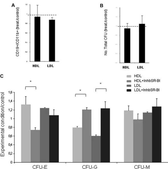 Figure 5. LDL does not promote cell proliferation but affects hematopoietic differentiation in vitro.(A) B lymphoid-cell commitment is not altered by LDL (100 ␮ g/mL) or HDL (100 ␮ g/mL) exposure, defined as the ratio of CD19 ⫹ (B lymphocytes) to CD11b ⫹ (