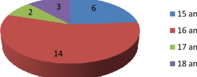 Figura 3.1 Distribuição1dos alunos da turma participante de acordo com o sexo. 