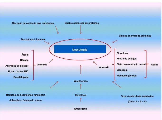 Figura 1. Mecanismos envolvidos na desnutrição, redução plasmática de vitaminas e de minerais, em pacientes 