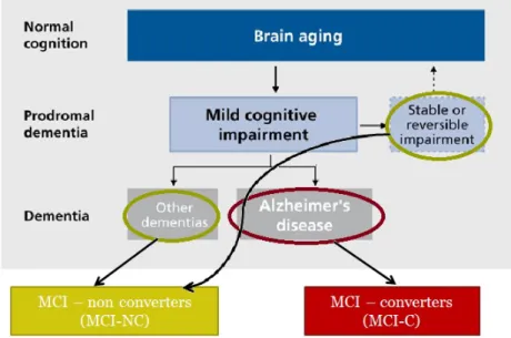 Figure 1.1: A conceptual model of possible developments after reaching MCI state. They can convert to AD (MCI-C) or not (MCI-NC)