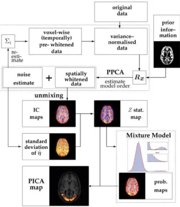 Figure 2.8: Schematic illustration of the analysis steps involved in estimating the pICA model