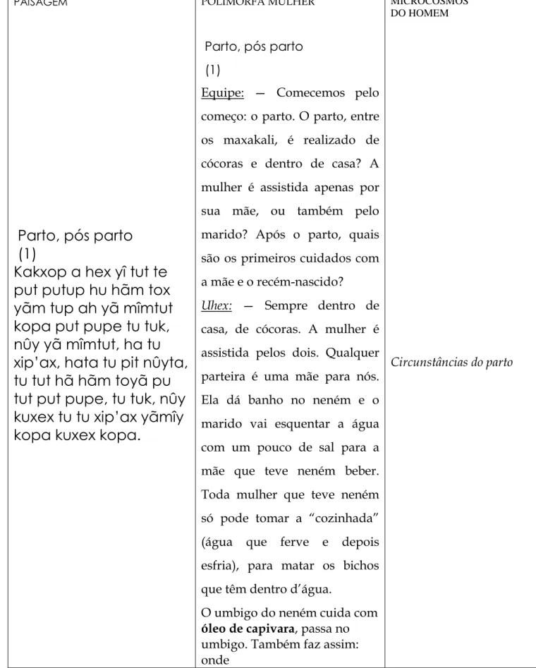 FIGURA 13 – Página demonstrativa da estrutura de colunas do Livro de saúde Maxakali. 