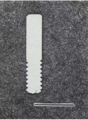 Figura 3  – Implante de zircônia de peça única. Diâmetro de 4mm e10mm de comprimento.  Fonte:  AKAGAWA e cols., 1993