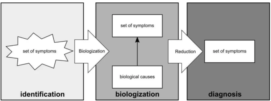 Figure 1. Model for identifying a disease. See text for a detailed description of the stages