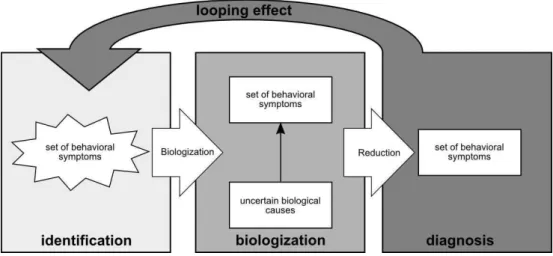Figure 2. Model for the looping effect in identifying a disease. See text for a detailed description of the stages