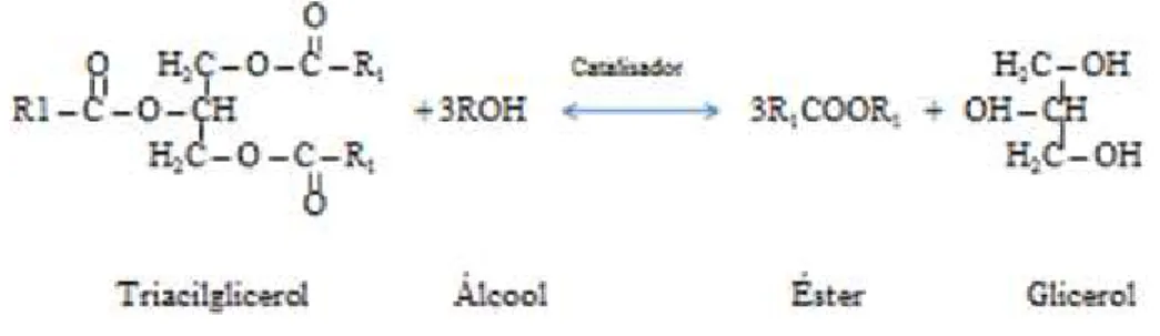 Figura 1 - Representação esquemática da reação de transesterificação 