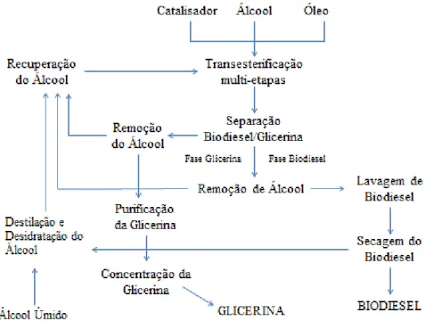 Figura 2 - Diagrama da obtenção do biodiesel e da glicerina 