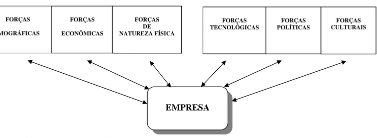 FIGURA 5 - Principais forças do macro-ambiente da empresa. FORÇAS  DE  NATUREZA FÍSICAFORÇAS ECONÔMICAS FORÇAS DEMOGRÁFICAS FORÇAS  CULTURAIS FORÇASPOLÍTICAS FORÇAS TECNOLÓGICAS  EMPRESA 