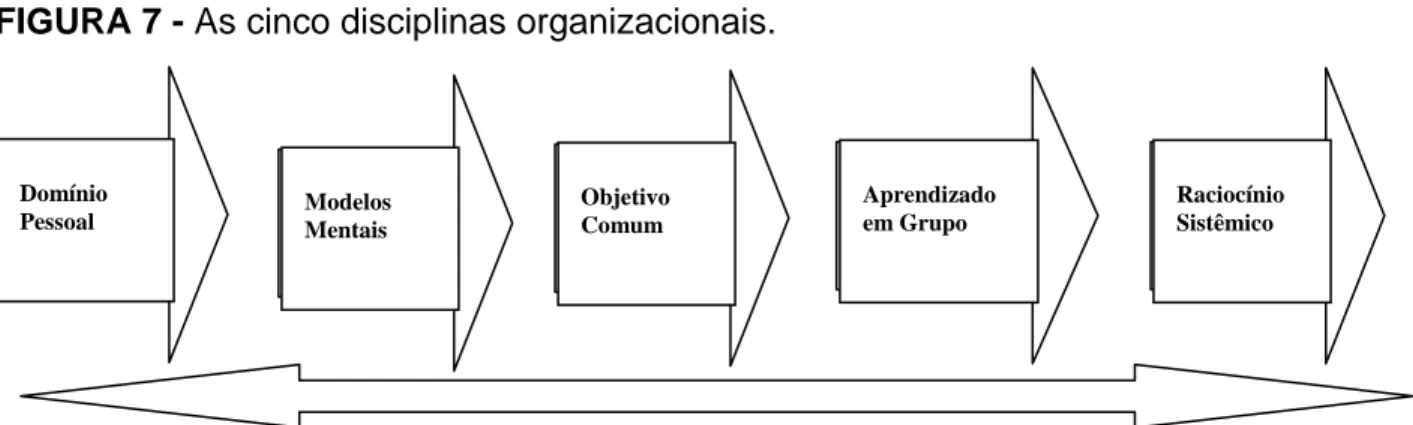 FIGURA 7 - As cinco disciplinas organizacionais.