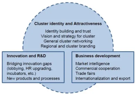 Figure 2 - Types of activities performed by COs (Source: Sölvell &amp; Williams, 2013) 