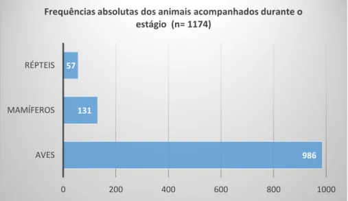 Gráfico 1 - Frequências absolutas dos animais acompanhados durante o estágio 986 131 57 0 200 400 600 800 1000 AVES MAMÍFEROS RÉPTEIS 