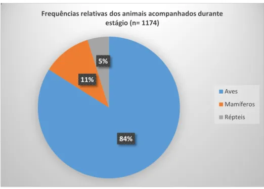 Gráfico 2- Frequências relativas dos animais acompanhados durante o estágio