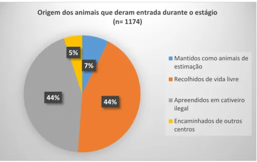 Gráfico 3 - Origem dos animais que foram admitidos durante o estágio 