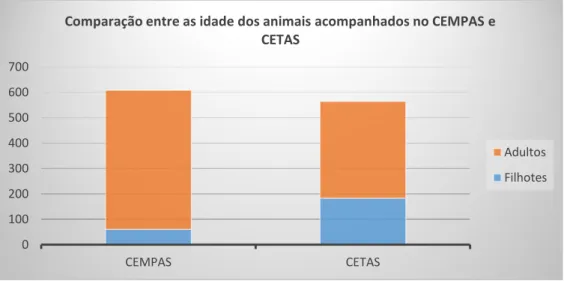 Gráfico 6 – Comparação entre as idades dos animais acompanhados no CEMPAS e CETAS 21% 