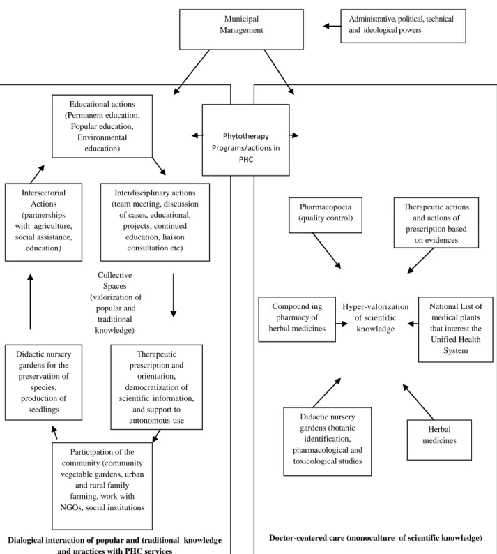 Figure 2. Approaches, characteristics and practices of phytotherapy and medicinal plants programs and  actions in the Brazilian PHC