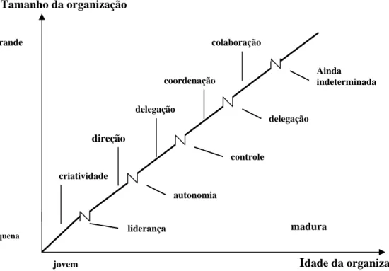 Figura 3 – As fases evolutivas e de revolução (fonte: GREINER, 1998) 