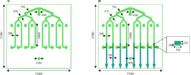 Figure 3.3 – Photomasks design. A) Design A consists of the simple version with 8 microfluidic channels (green) that branch  from a common inlet and have 8 individual outlets