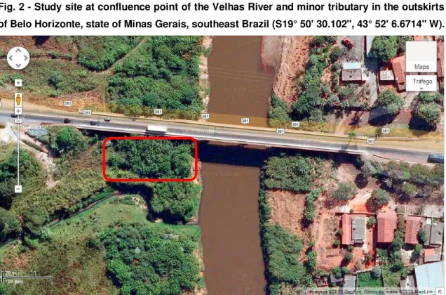 Fig. 2 - Study site at confluence point of the Velhas River and minor tributary in the outskirts  of Belo Horizonte, state of Minas Gerais, southeast Brazil (S19° 50' 30.102&#34;, 43° 52' 6.6714&#34; W)