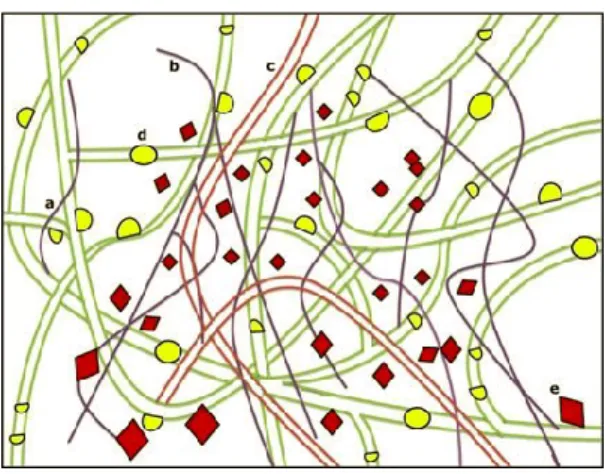Figura 3- Representação de um coágulo de PRF (Adaptada de: Kumar &amp; Shubhashini, 2013)
