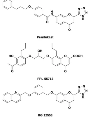 Figure 2.21 Chemical structures of pranlukast,  FPL 55712 and RG 12553. 