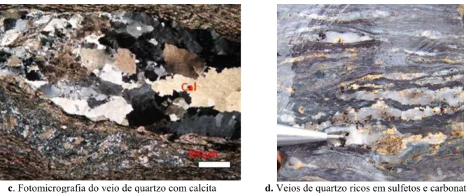 Figura 3.3 - Prancha com fotos de testemunhos da porção basal da Formação Paracatu do Grupo Canastra