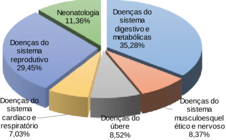 Gráfico 2 - Frequência relativa dos casos observados em clínica médica    