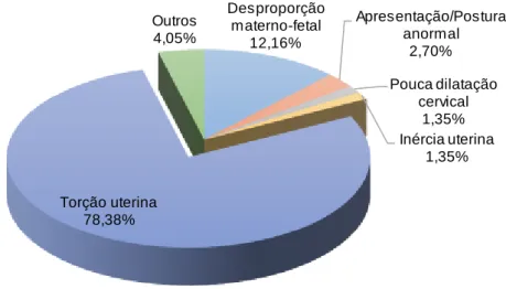Gráfico 5 - Frequência relativa das causas de distócias observadas ao longo do período de  estágio 