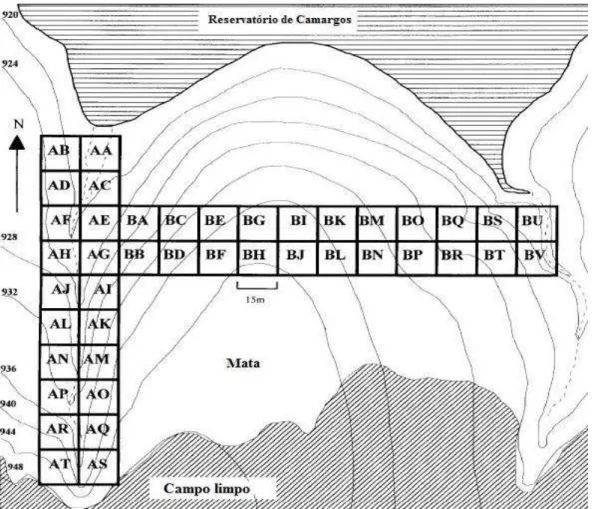 Figura  2:  Disposição  das  parcelas  permanentes  no  fragmento  de  floresta  de  galeria  estudado