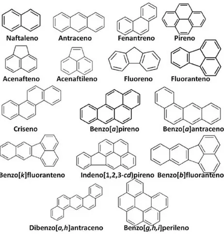 Figura 1: Hidrocarbonetos aromáticos policíclicos. Estruturas químicas dos 16 HAPs listados como poluentes 