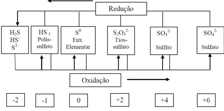 Figura 3-7: Ciclo do enxofre e seus estados de oxidação. 
