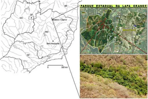FIGURA 1 - Imagem do Google Earth com a localização do Parque Estadual da Lapa  Grande no estado de Minas Gerais e imagem aérea do fragmento de Floresta Ciliar  do Córrego dos Bois 