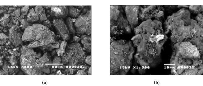 Figura 4.10 - Micrografias do concentrado ustulado de zinco lixiviado com HNO 3  concentrado  