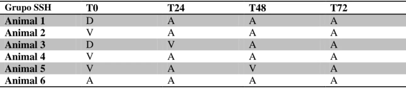 Tabela  5:  Classificação  pela  escala  AVDN  dos  animais  presentes  no  grupo  SSH,  em  todos  momentos  pontuais do experimento
