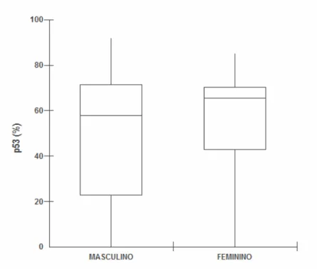 GRÁFICO 3- Distribuição dos índices de imunomarcação para a proteína p53 segundo o gênero