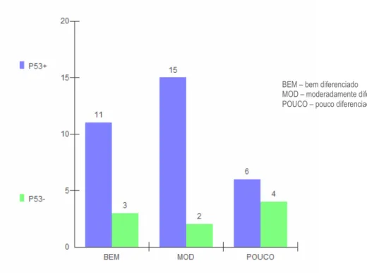 GRÁFICO  4-  Distribuição  da  imunomarcação  para  a  proteína  p53  nos  carcinomas  epidermóides,  de  acordo com a graduação histológica de malignidade do fronte de invasão tumoral