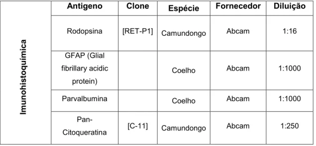 Tabela 2- Auticorpos primários para Imuuohistoquímica 