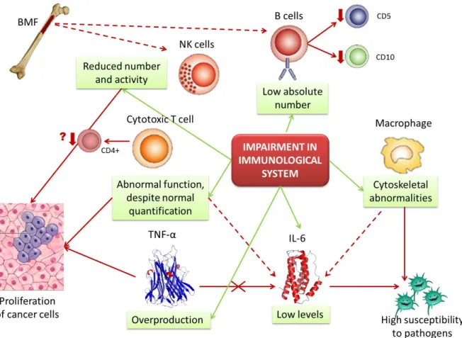 Figure 1.  Impairment in immunological function of Fanconi anemia patients. 