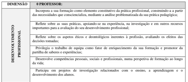 Figura 2.1 dimensão do desenvolvimento profissional 