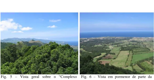 Fig.  6  –  Vista  em  pormenor  de  parte  da  Costa Norte da ilha de São Miguel 